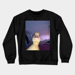 Funny duck Crewneck Sweatshirt